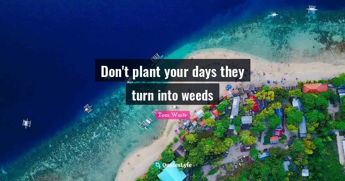 Don't plant your days they turn into weeds