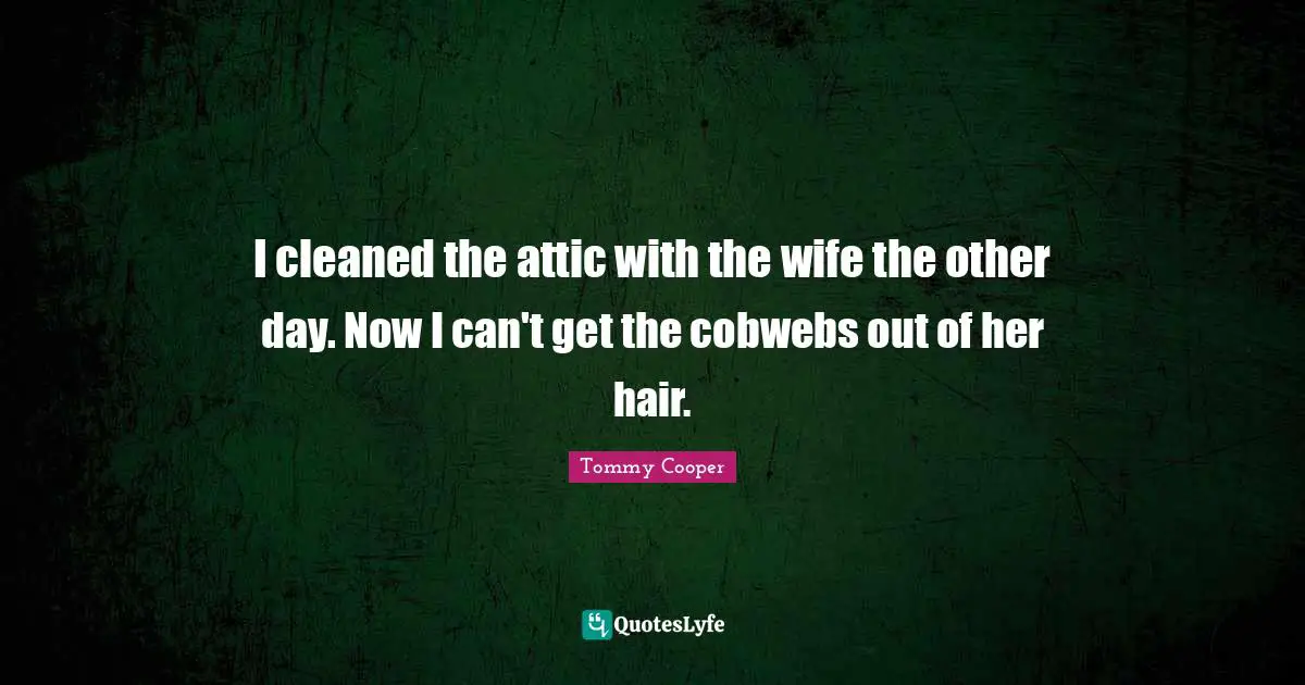 I cleaned the attic with the wife the other day. Now I can't get the cobwebs out of her hair.