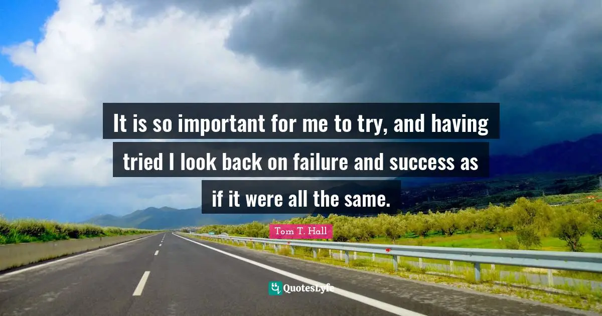 It is so important for me to try, and having tried I look back on failure and success as if it were all the same.