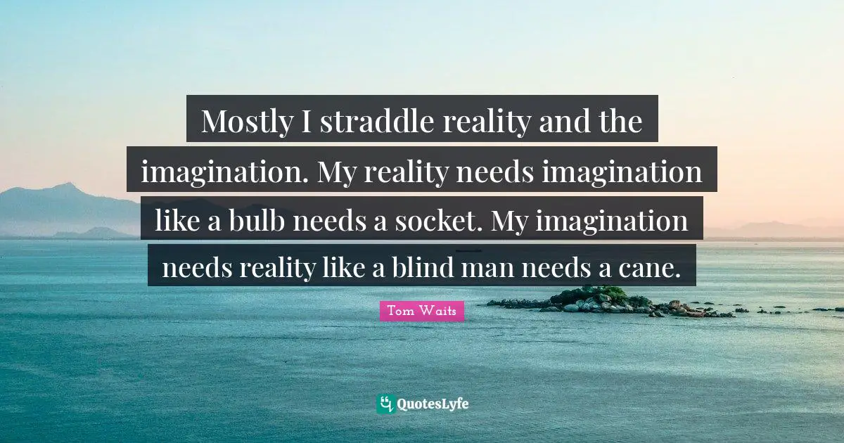 Mostly I straddle reality and the imagination. My reality needs imagination like a bulb needs a socket. My imagination needs reality like a blind man needs a cane.