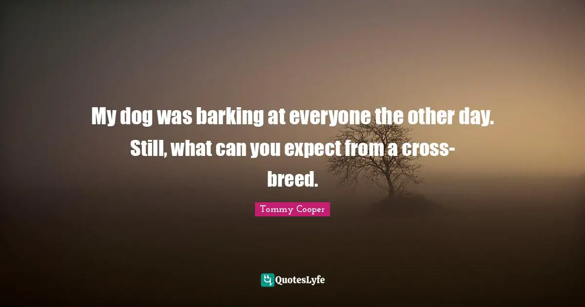 My dog was barking at everyone the other day. Still, what can you expect from a cross-breed.