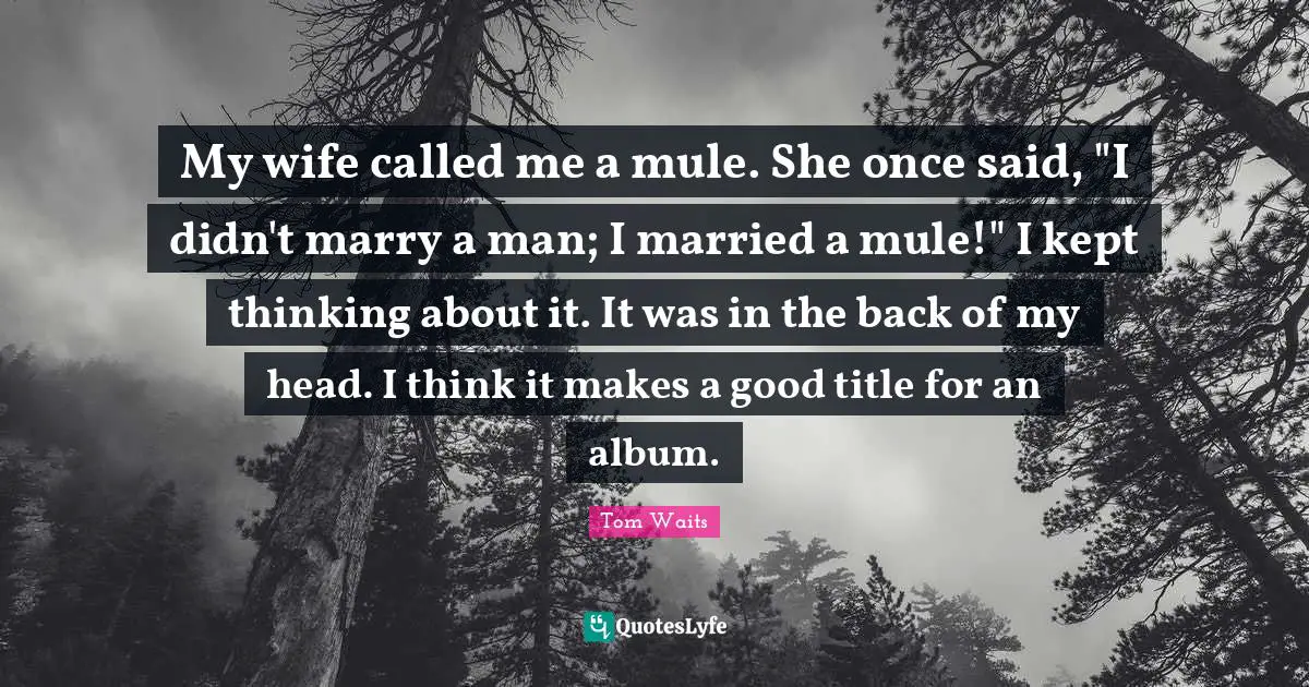 My wife called me a mule. She once said, "I didn't marry a man; I married a mule!" I kept thinking about it. It was in the back of my head. I think it makes a good title for an album.