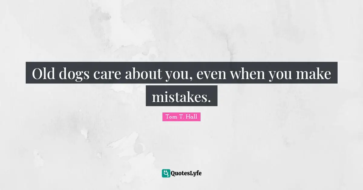 Old dogs care about you, even when you make mistakes.