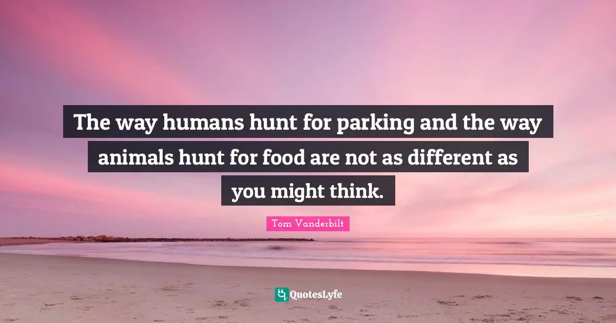 The way humans hunt for parking and the way animals hunt for food are not as different as you might think.