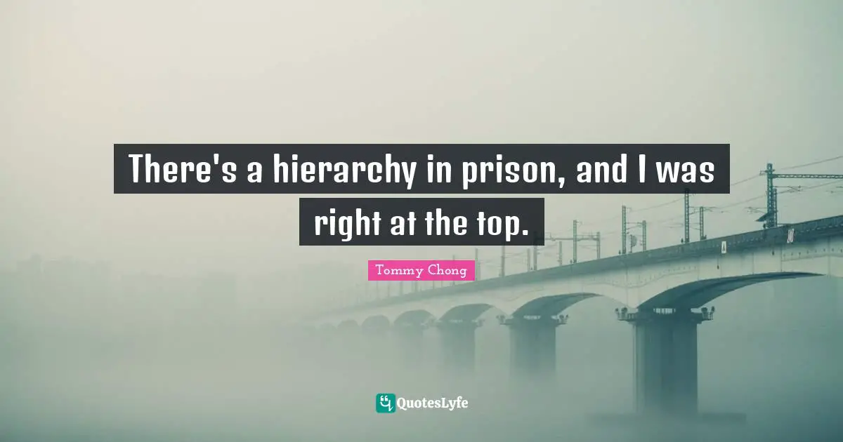 There's a hierarchy in prison, and I was right at the top.