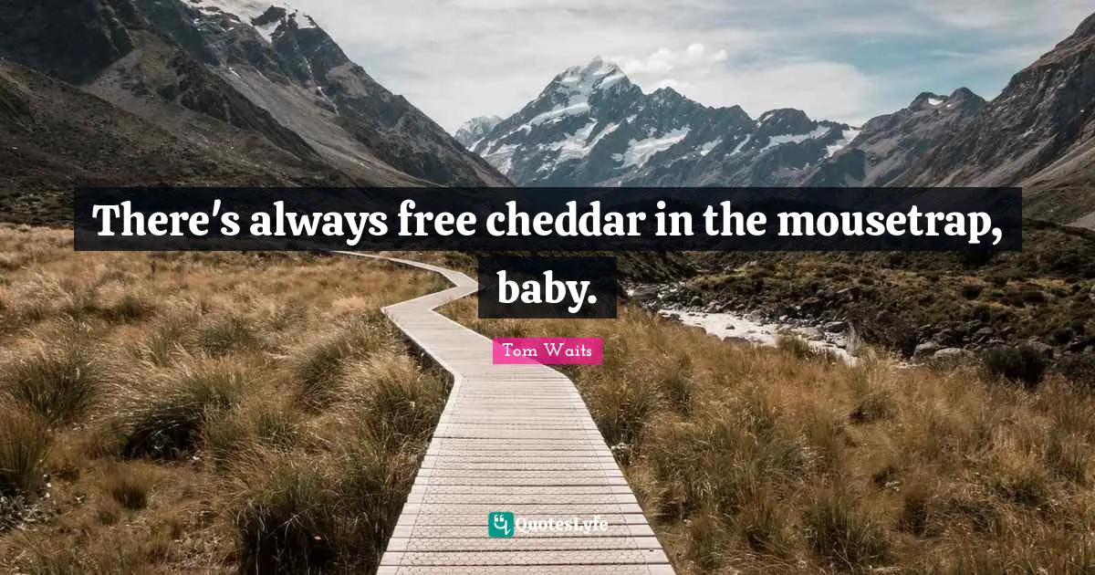 There's always free cheddar in the mousetrap, baby.