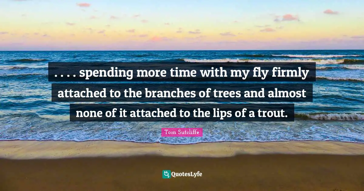 . . . . spending more time with my fly firmly attached to the branches of trees and almost none of it attached to the lips of a trout.