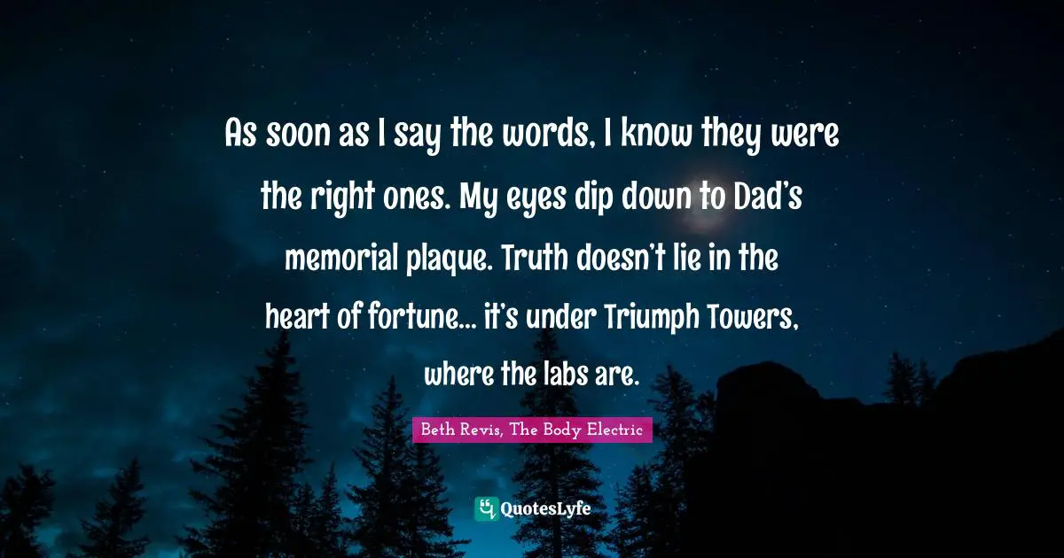 As soon as I say the words, I know they were the right ones. My eyes dip down to Dad’s memorial plaque. Truth doesn’t lie in the heart of fortune… it’s under Triumph Towers, where the labs are.