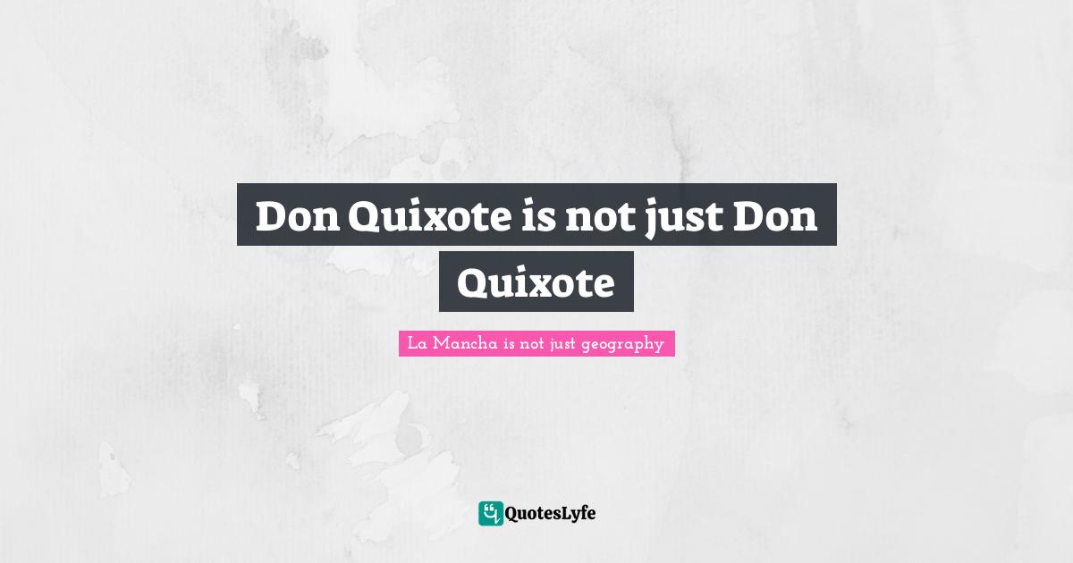 Don Quixote is not just Don Quixote