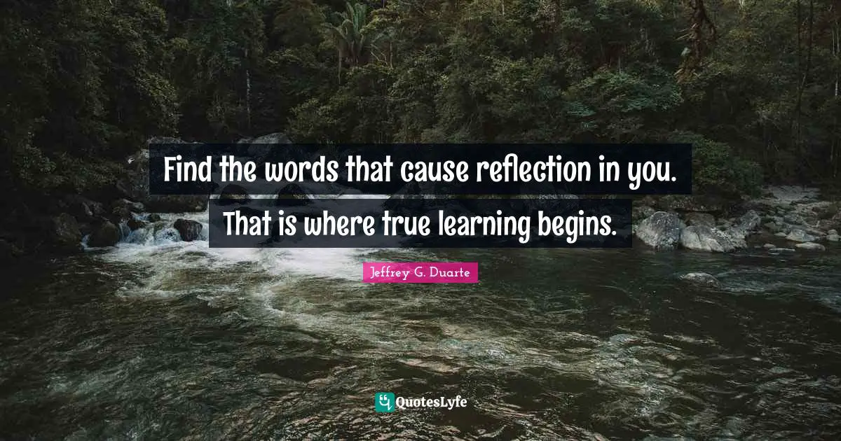 Find the words that cause reflection in you. That is where true learning begins.
