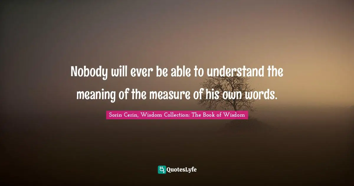 Nobody will ever be able to understand the meaning of the measure of his own words.