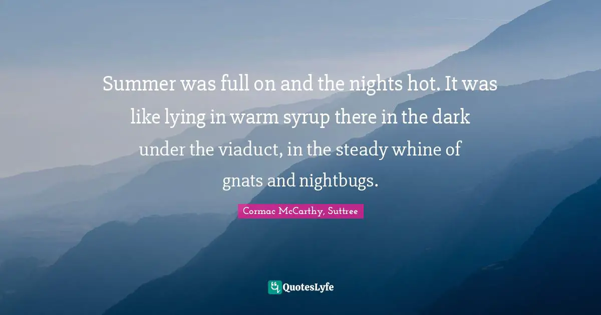 Summer was full on and the nights hot. It was like lying in warm syrup there in the dark under the viaduct, in the steady whine of gnats and nightbugs.