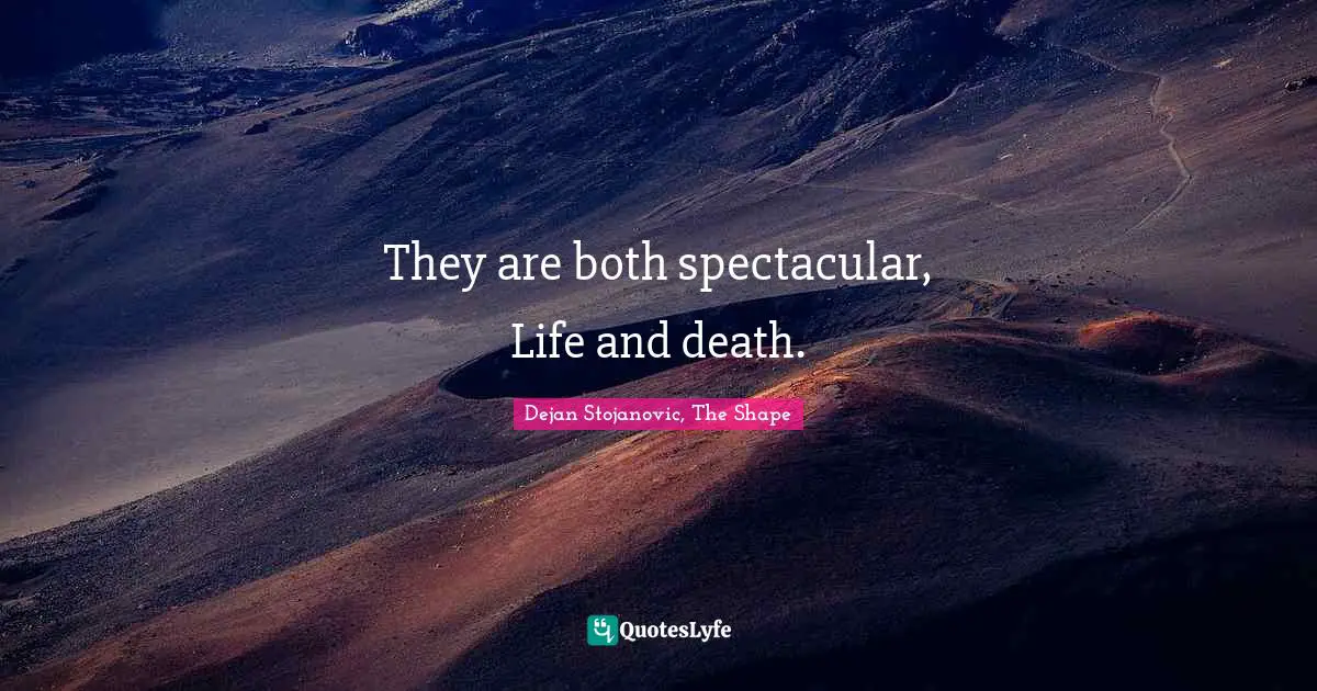 Dejan Stojanovic, The Shape Quotes: "They are both spectacular, Life and death."