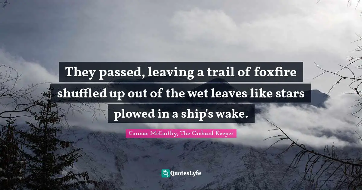 They passed, leaving a trail of foxfire shuffled up out of the wet leaves like stars plowed in a ship's wake.