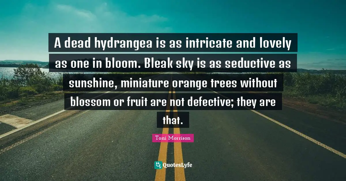 Defective Quotes: "A dead hydrangea is as intricate and lovely as one in bloom. Bleak sky is as seductive as sunshine, miniature orange trees without blossom or fruit are not defective; they are that."