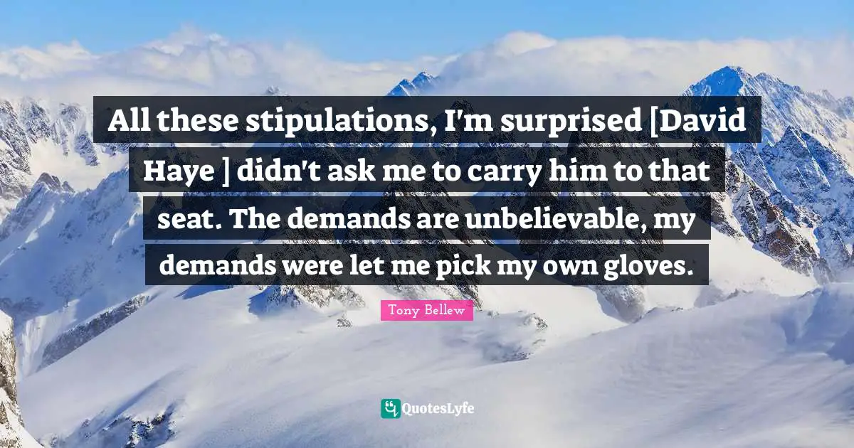 Stipulations Quotes: "All these stipulations, I'm surprised [David Haye ] didn't ask me to carry him to that seat. The demands are unbelievable, my demands were let me pick my own gloves."