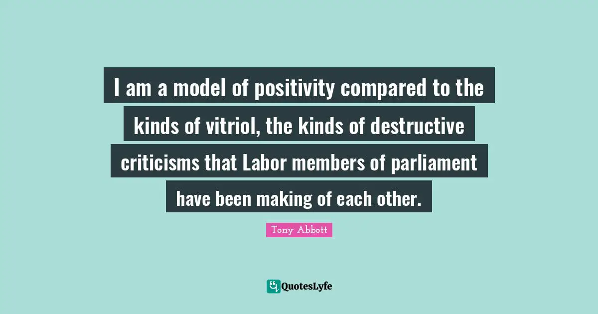 I am a model of positivity compared to the kinds of vitriol, the kinds of destructive criticisms that Labor members of parliament have been making of each other.