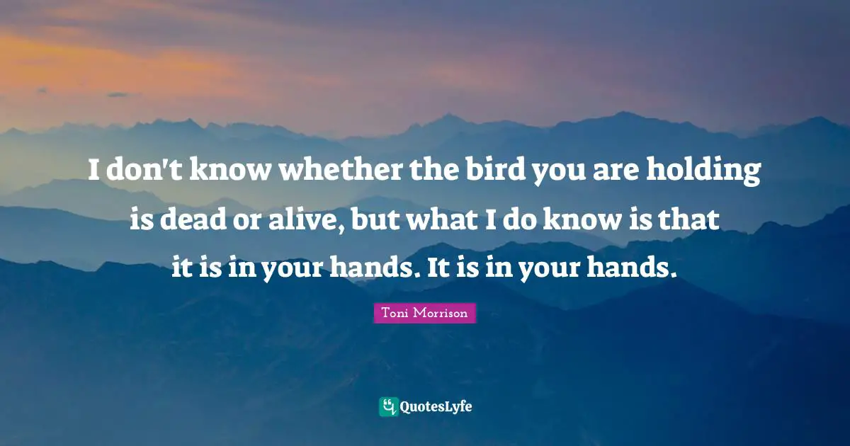 I don't know whether the bird you are holding is dead or alive, but what I do know is that it is in your hands. It is in your hands.
