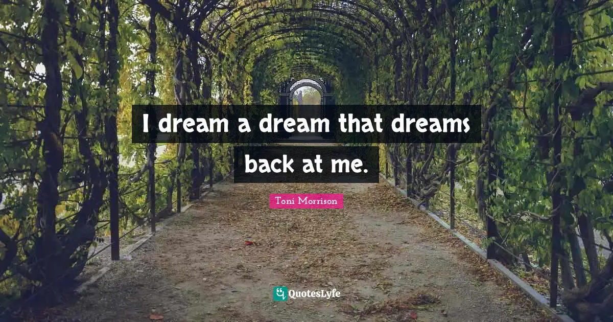 I dream a dream that dreams back at me.