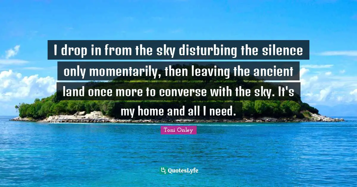 I drop in from the sky disturbing the silence only momentarily, then leaving the ancient land once more to converse with the sky. It's my home and all I need.