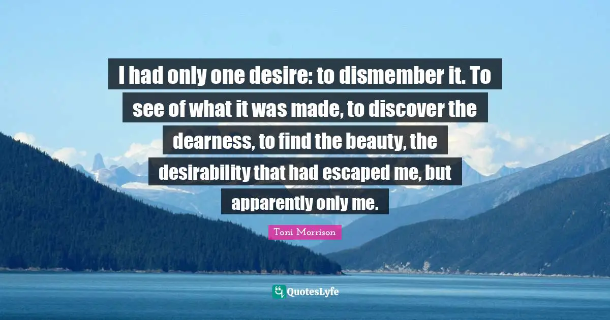 I had only one desire: to dismember it. To see of what it was made, to discover the dearness, to find the beauty, the desirability that had escaped me, but apparently only me.