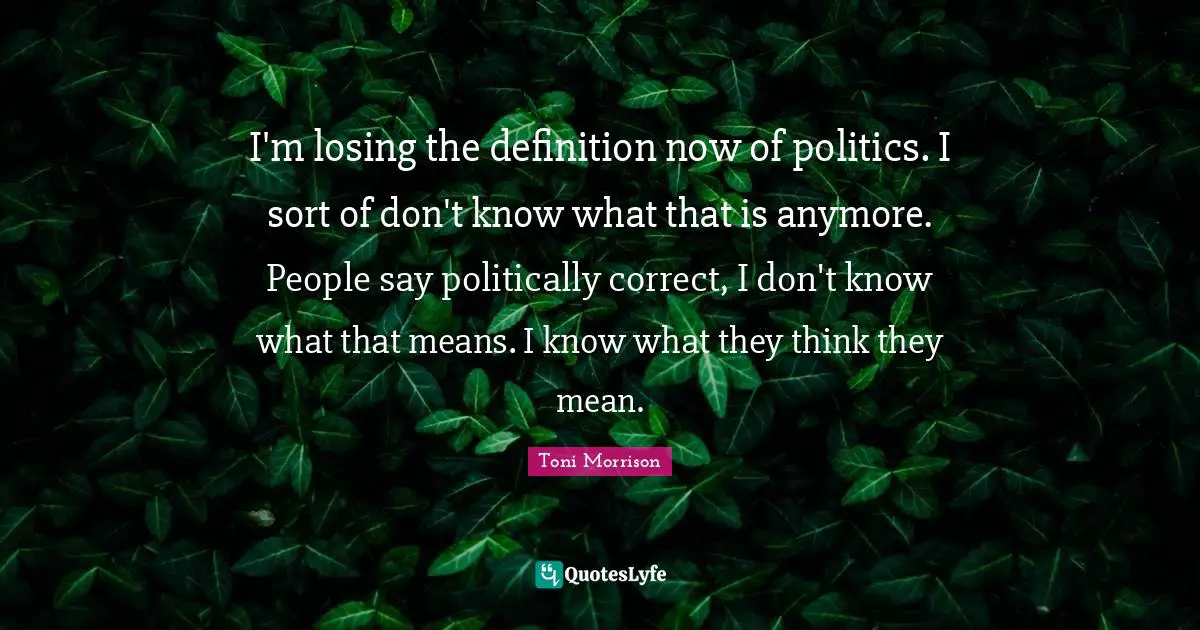 I'm losing the definition now of politics. I sort of don't know what that is anymore. People say politically correct, I don't know what that means. I know what they think they mean.