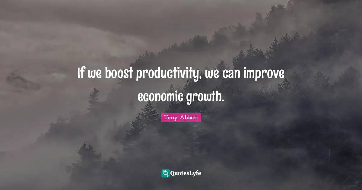 Boost Quotes: "If we boost productivity, we can improve economic growth."