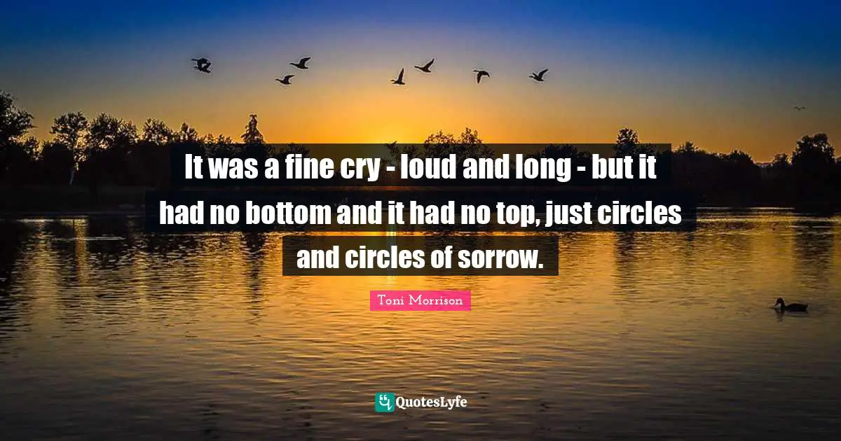 It was a fine cry - loud and long - but it had no bottom and it had no top, just circles and circles of sorrow.