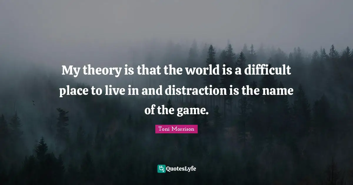 My theory is that the world is a difficult place to live in and distraction is the name of the game.