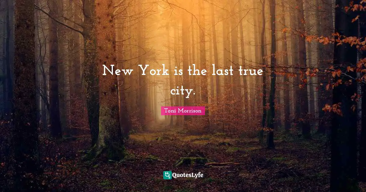 New York is the last true city.