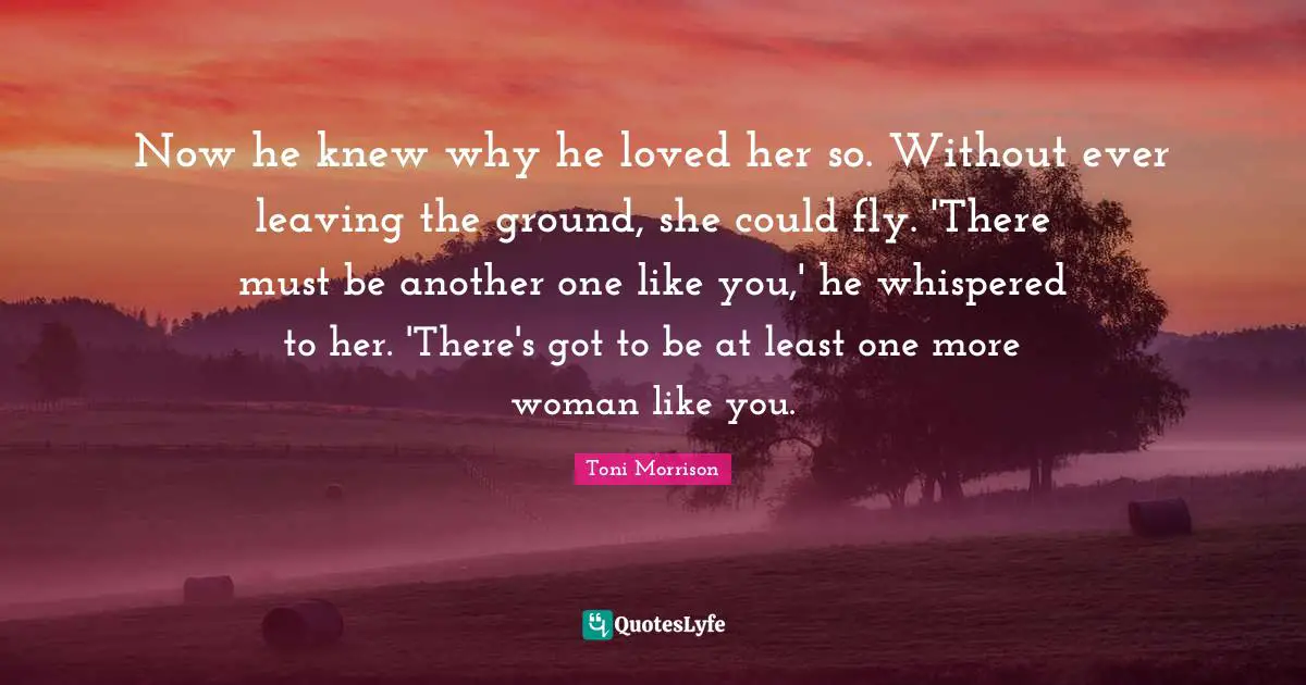 Now he knew why he loved her so. Without ever leaving the ground, she could fly. 'There must be another one like you,' he whispered to her. 'There's got to be at least one more woman like you.