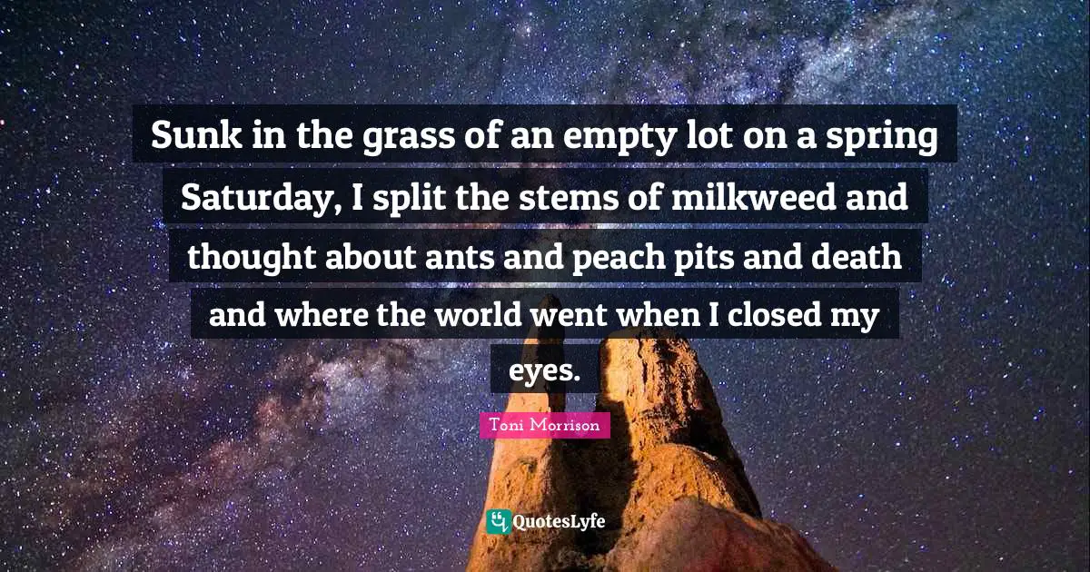 Saturday Quotes: "Sunk in the grass of an empty lot on a spring Saturday, I split the stems of milkweed and thought about ants and peach pits and death and where the world went when I closed my eyes."
