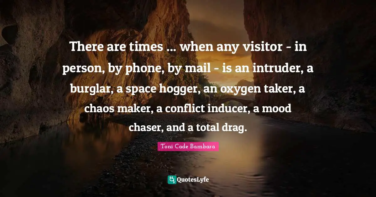 There are times ... when any visitor - in person, by phone, by mail - is an intruder, a burglar, a space hogger, an oxygen taker, a chaos maker, a conflict inducer, a mood chaser, and a total drag.