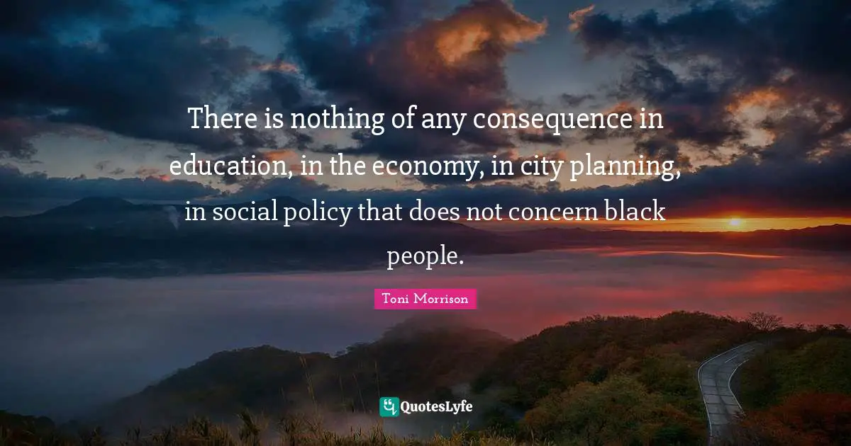 There is nothing of any consequence in education, in the economy, in city planning, in social policy that does not concern black people.