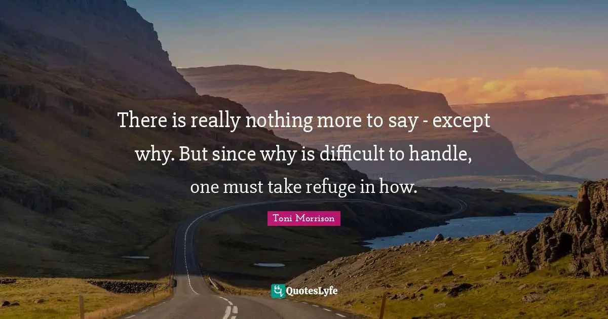 There is really nothing more to say - except why. But since why is difficult to handle, one must take refuge in how.