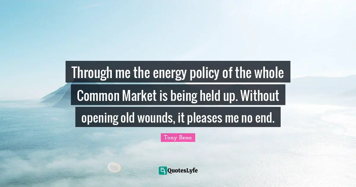 Through me the energy policy of the whole Common Market is being held up. Without opening old wounds, it pleases me no end.