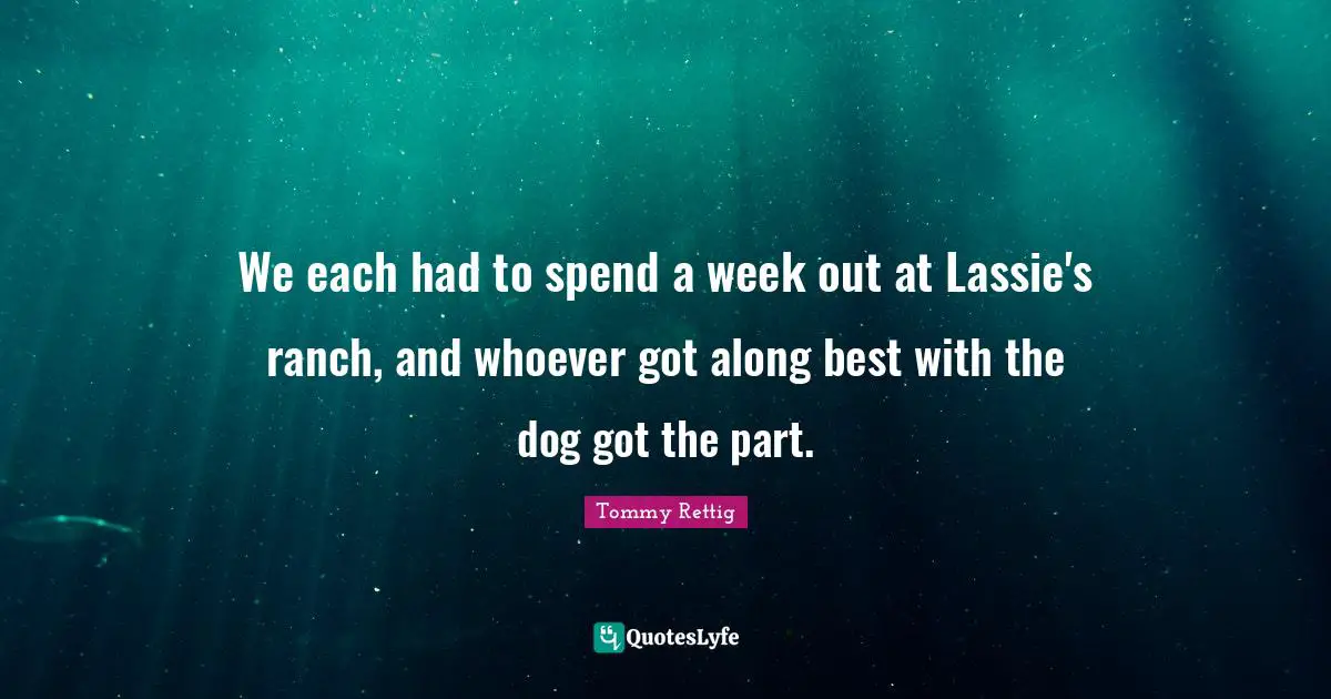 We each had to spend a week out at Lassie's ranch, and whoever got along best with the dog got the part.