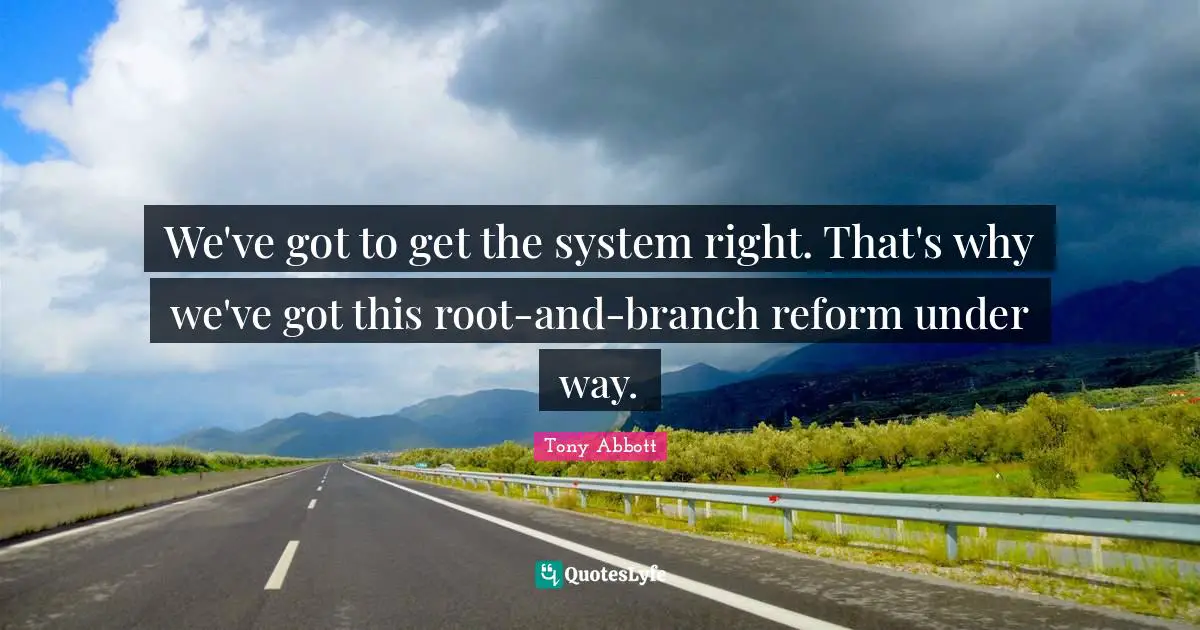 We've got to get the system right. That's why we've got this root-and-branch reform under way.