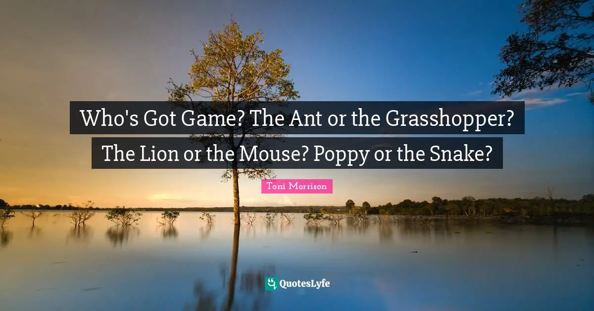 Who's Got Game? The Ant or the Grasshopper? The Lion or the Mouse? Poppy or the Snake?