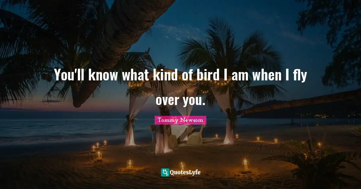 You'll know what kind of bird I am when I fly over you.