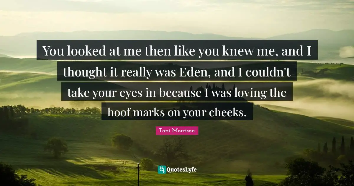 You looked at me then like you knew me, and I thought it really was Eden, and I couldn't take your eyes in because I was loving the hoof marks on your cheeks.