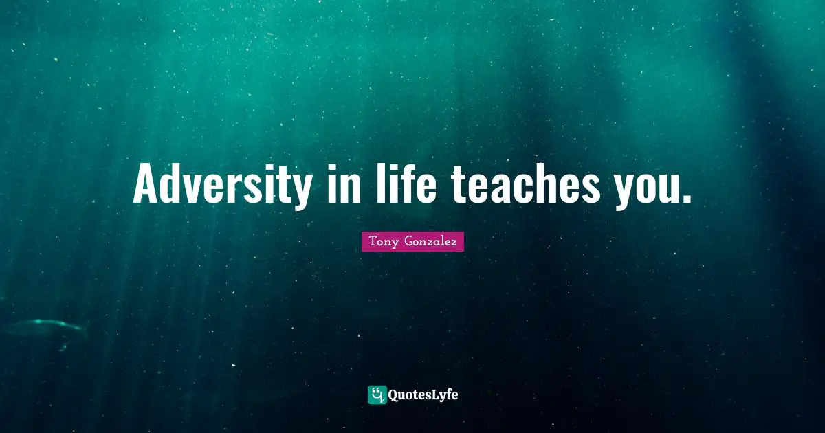 Adversity in life teaches you.