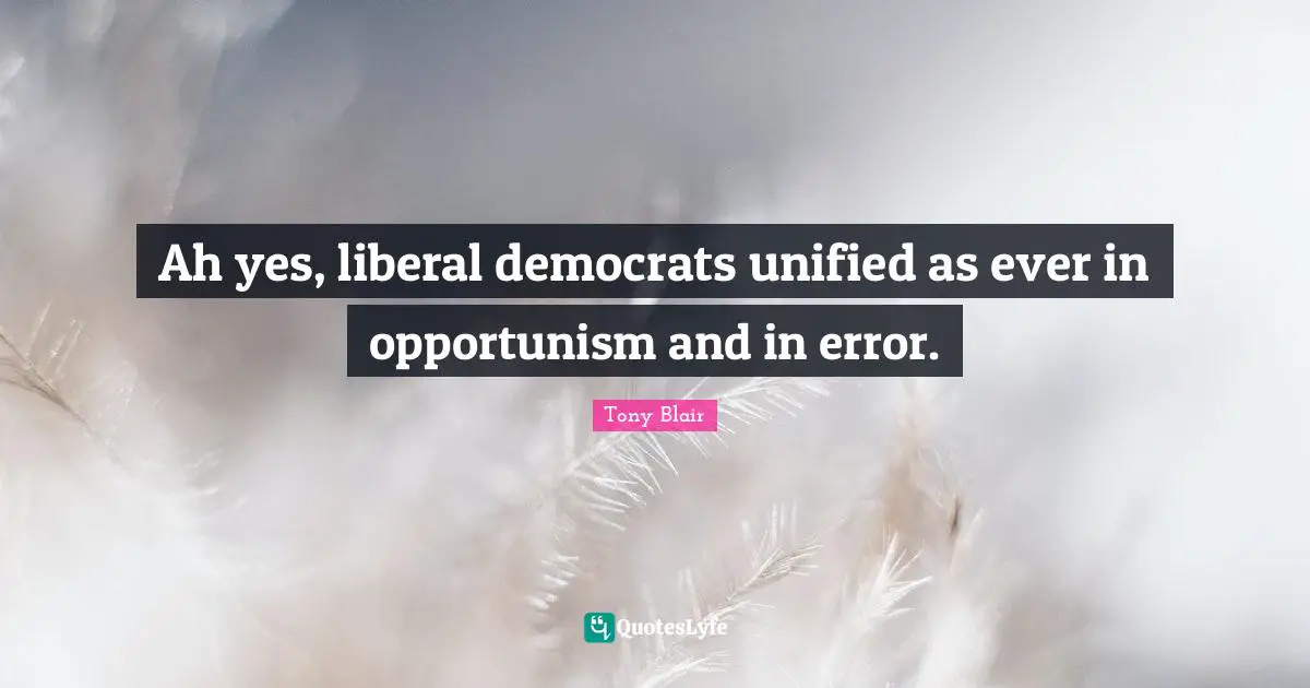 Ah yes, liberal democrats unified as ever in opportunism and in error.
