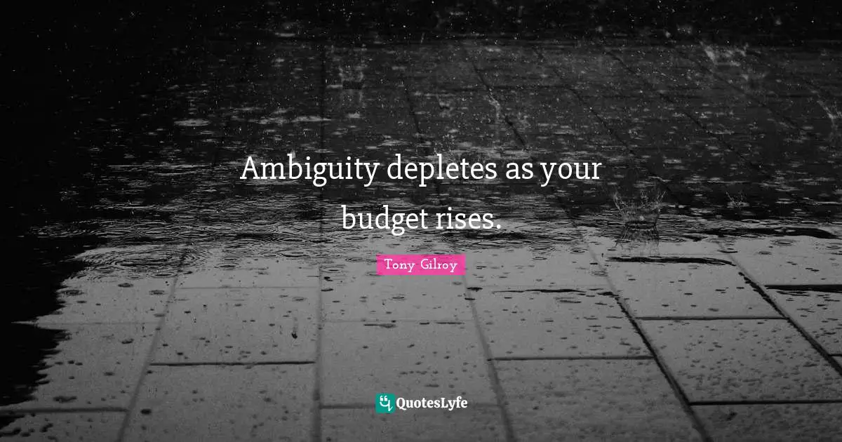 Budgets Quotes: "Ambiguity depletes as your budget rises."