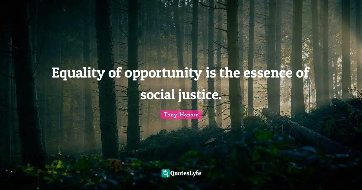 Equality of opportunity is the essence of social justice.