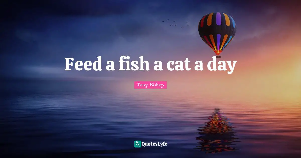 Feed a fish a cat a day