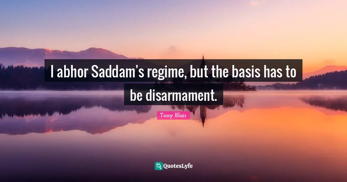 I abhor Saddam's regime, but the basis has to be disarmament.