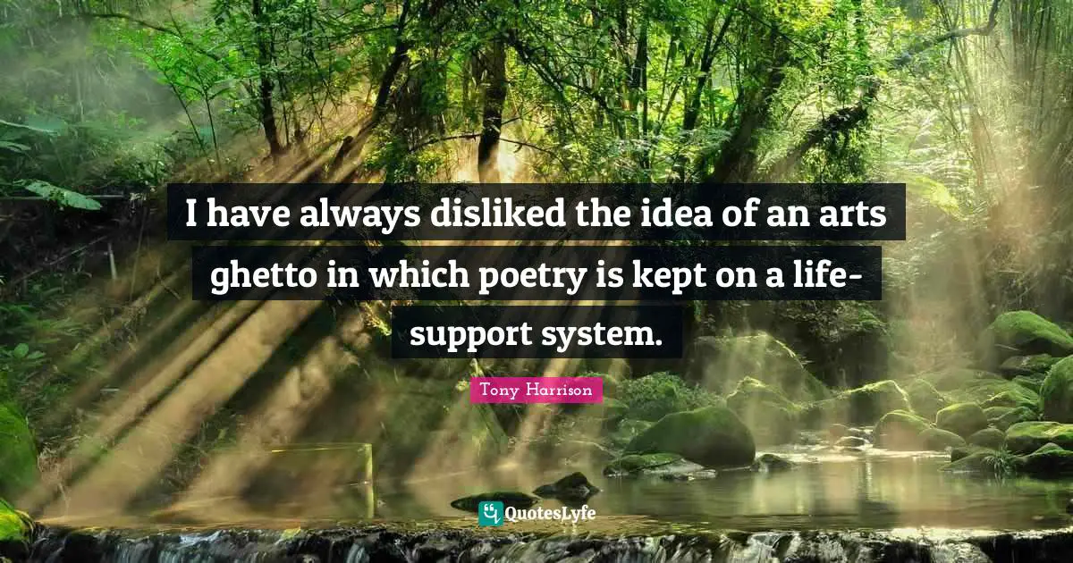 Support Systems Quotes: "I have always disliked the idea of an arts ghetto in which poetry is kept on a life-support system."