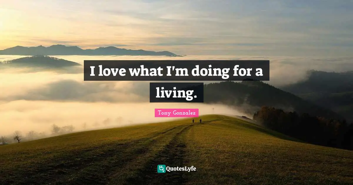 I love what I'm doing for a living.