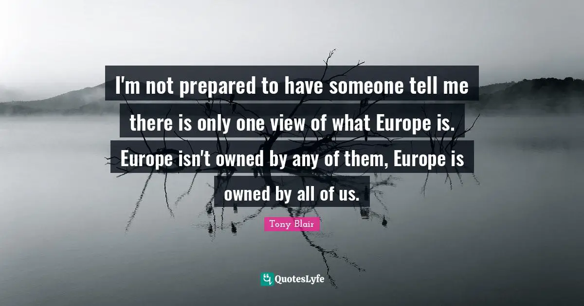 I'm not prepared to have someone tell me there is only one view of what Europe is. Europe isn't owned by any of them, Europe is owned by all of us.